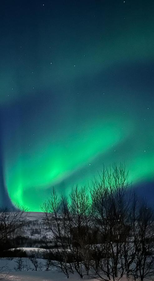 Tromsdalen Aurora Tromso